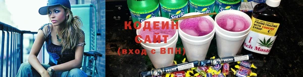 прущие грибы Гусиноозёрск