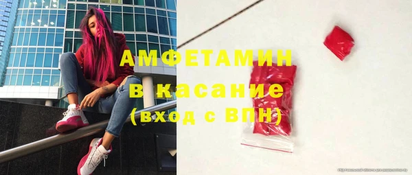 прущие грибы Гусиноозёрск