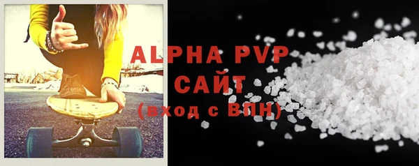 прущие грибы Гусиноозёрск
