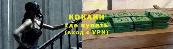 прущие грибы Гусиноозёрск