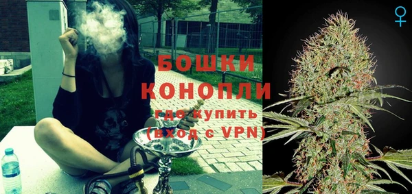 прущие грибы Гусиноозёрск