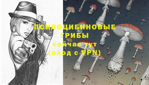 прущие грибы Гусиноозёрск