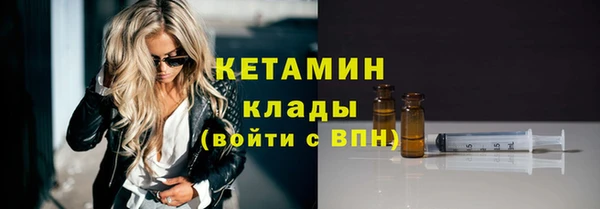 прущие грибы Гусиноозёрск
