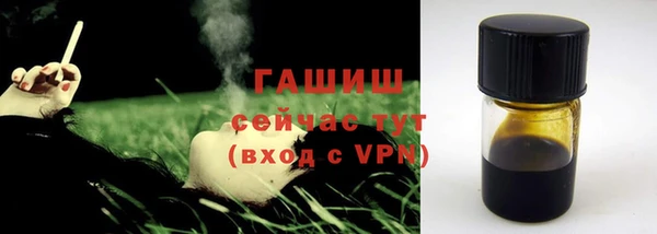 прущие грибы Гусиноозёрск