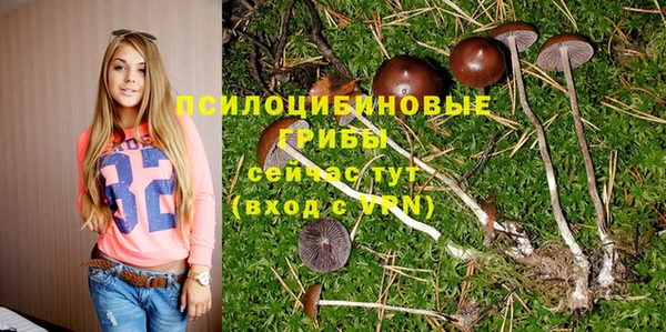 а пвп мука Гусев