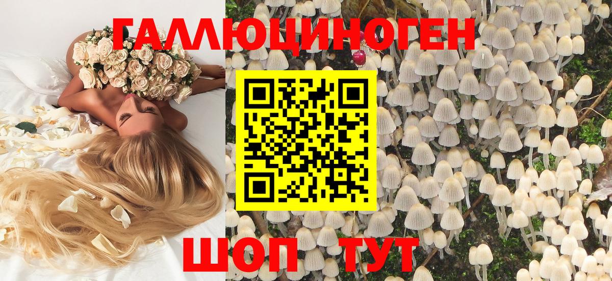 Галлюциногенные грибы ЛСД Осинники